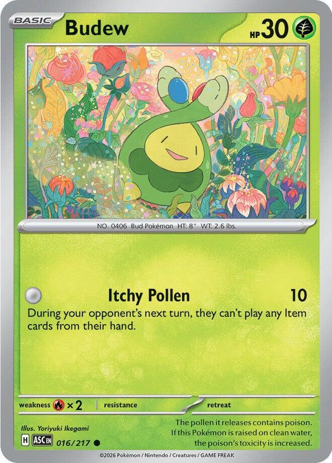 Budew #16 | Ascended Heroes