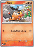 Tepig #29 | Ascended Heroes