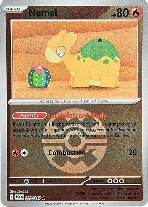 Numel - 027/217 (Quick Ball) #27 Reverse Holofoil | Ascended Heroes