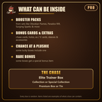 What can be inside a Pro Box